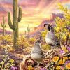 Birds in Desert paint by numbers