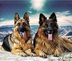 German Shepherd Dogs paint by numbers