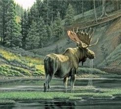 Moose River paint by number