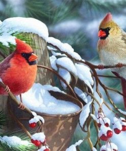 Cardinal Birds In Winter paint by numbers