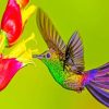 Humming Bird paint by numbers