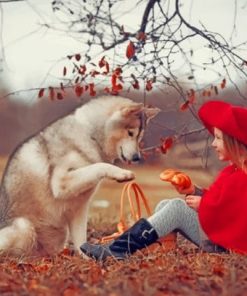 Husky Dog And Little Girl Paint by numbers