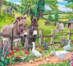 Donkey Goose Farm paint by numbers