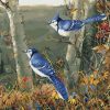 Blue Jay On Flowering Tree Paint by numbers