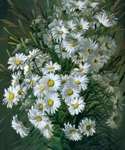 Blooming Daisy Flowers paint by numbers