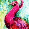 Pink Peacock paint by numbers