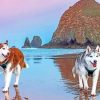 Siberian Huskies On Beach Paint by numbers