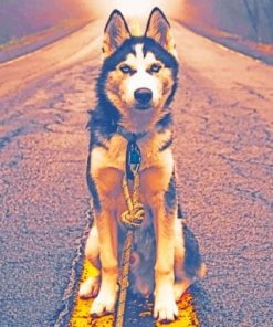 Siberian Husky In Road Paint by numbers