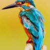 The kingfisher Bird paint by number