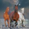 Aesthetic Horses Paint by numbers