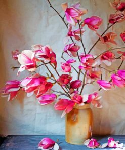 Aesthetic Magnolias Paint by numbers