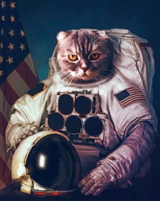 Astronaut Cat paint by numbers