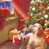 Christmas Dog Paint by numbers