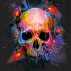 colorful-skull-paint-by-numbers-1-510x639