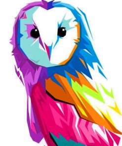 Colorful Pop Art Owl Paint by numbers