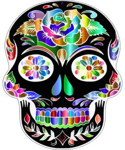 Colorful Black Folk Art Skull paint by numbers