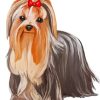 Cute Yorkie Paint by numbers