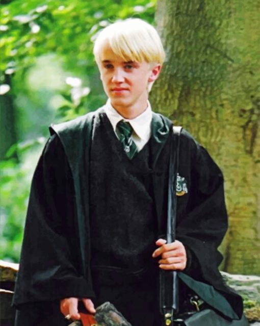 Draco Malfoy From Harry Potter Paint by numbers