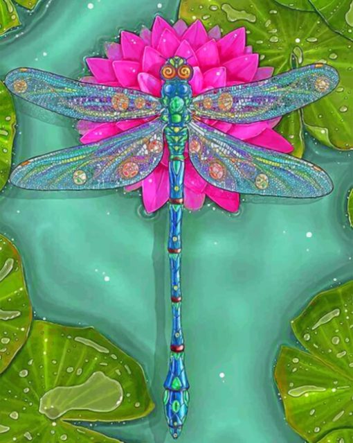 dragonfly illustration Paint by numbers