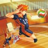 Hinata Haikyuu Paint by numbers