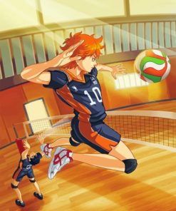 Hinata Haikyuu Paint by numbers