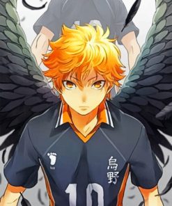 Hinata Haikyuu Paint by numbers