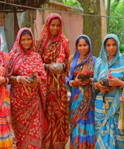 Indian Women Wearing Sari paint by numbers