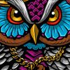 Mad Owl paint by numbers