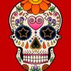 White Folk Art Skull Paint by numbers