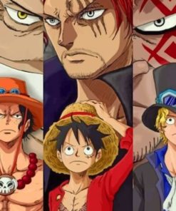 One Piece Paint by numbers