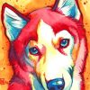 Red Husky Pop Art paint by numbers