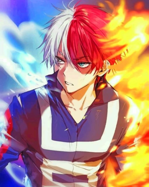 todoroki Paint by numbers