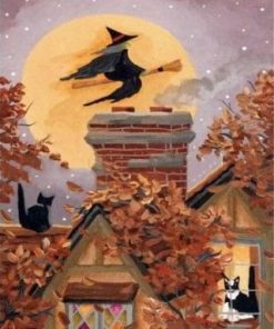 flying witch paint by numbers