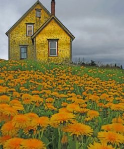 Yellow House Nova Scotia paint by numbers