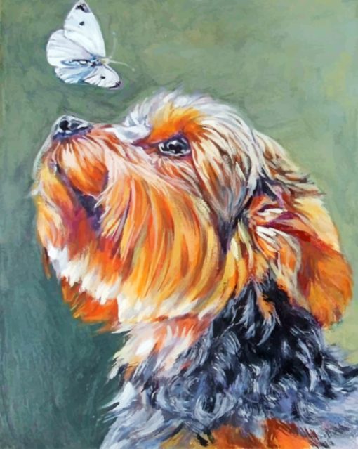 Yorkie And Butterfly Paint by numbers