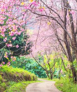 Cherry Blossom Trees Paint by numbers