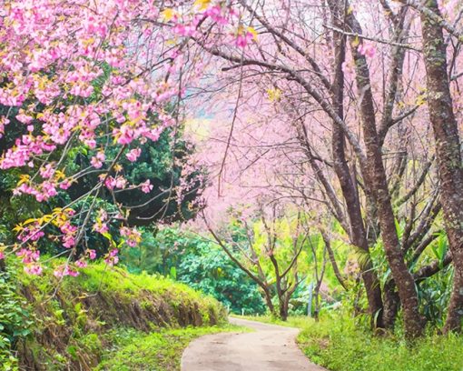 Cherry Blossom Trees Paint by numbers