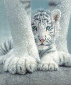 Cute Baby White Tiger Paint by numbers