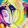 Colorful Bulldog Art Paint by numbers