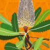 Banksias Native Australian Flower paint by numbers