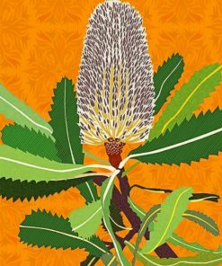 Banksias Native Australian Flower paint by numbers