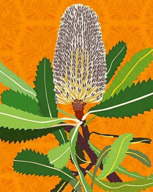 Banksias Native Australian Flower paint by numbers