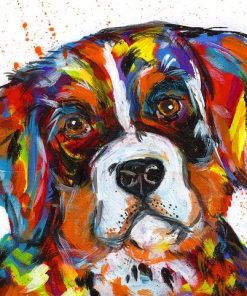 Bernese Mountain Dog paint by numbers