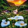 Calla Lily Valley Paint by numbers