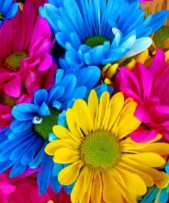 Colorful Daisies Paint by numbers