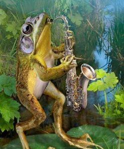 Frog Saxophone Paint by numbers