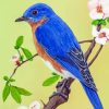 Eastern Bluebird On Branch Paint by numbers