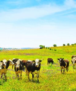 Farm Landscape With Animals Paint by numbers