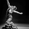 Flamenco-dancer-black-and-white-paint-by-number