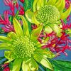 Green Waratahs With Kangaroo Paws paint by numbers